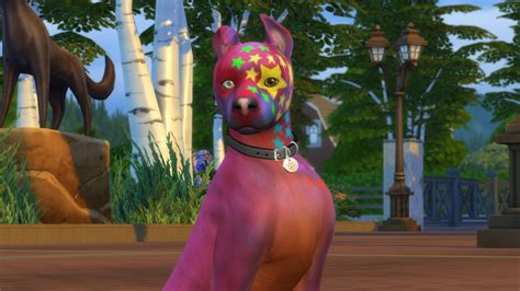 Sims 4 Paws