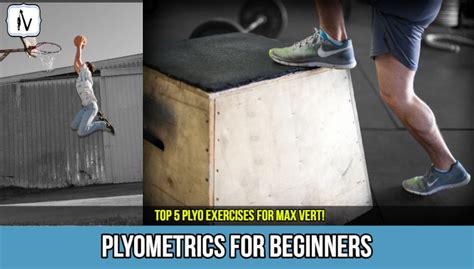 5 Best Plyometric Exercises For Vertical Jump Get Explosive Legs