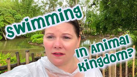 Swimming In Disneys Animal Kingdom Youtube