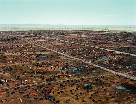 Andreas Gursky Andreas Gursky Photo Landscape