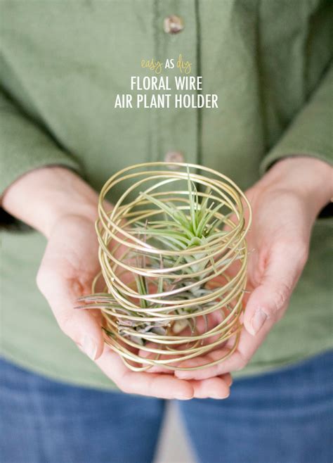 Easy As D I Y Floral Wire Air Plant Holder Dream Green Diy