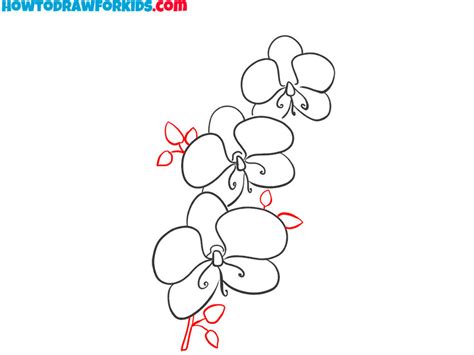 How To Draw An Orchid Easy Drawing Tutorial For Kids