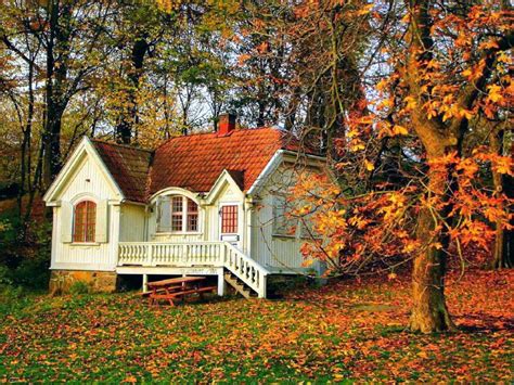 Beautiful Small Forest House Download Hd Wallpapers And Free Images