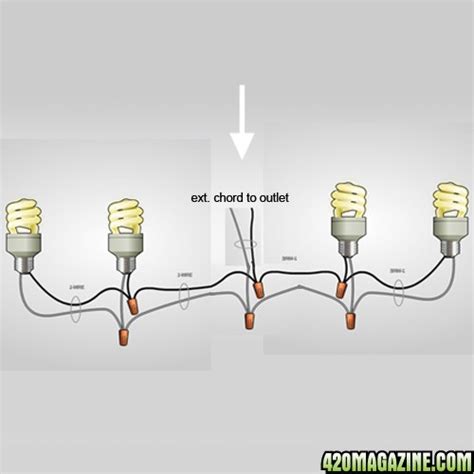 Simple Wiring Diagram For Multiple Lights 420 Magazine
