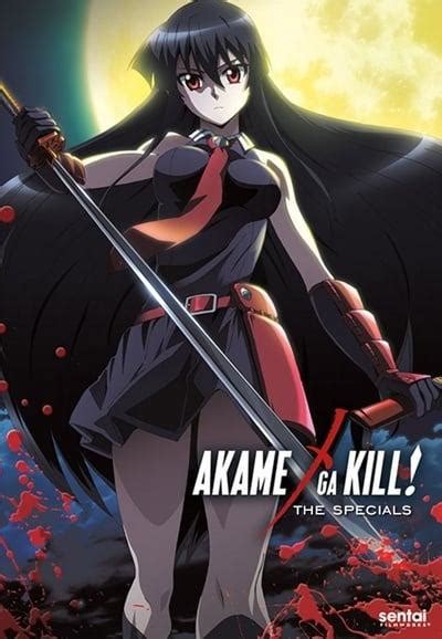 Akame Ga Kill Schwerter Der Assassinen Kinoandco