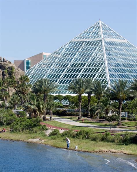 We just got the one picture, and it was small. Moody Gardens, Galveston, Texas, United States - Theme ...