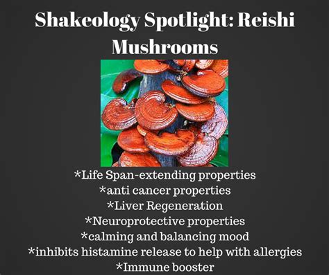 Lindsay Bauer Wellness Shakeology Spotlight Reishi Mushrooms