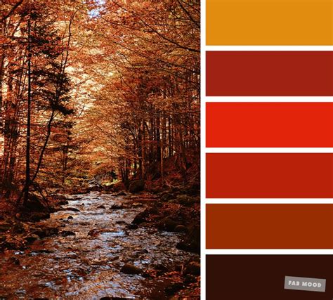Pretty Autumn Colour Schemes Brown Burnt Orange A Pretty Colour