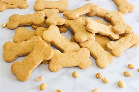 Homemade Dog Treats Peanut Butter Dog Treat Recipe Easy Recipe With