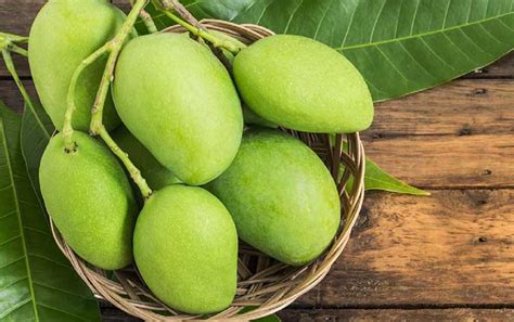 Mangga afrika atau irvingia gabonensis. 10 Jenis Buah Mangga Paling Enak Di Indonesia - Blog Unik
