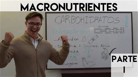 ¿qué Son Los Carbohidratos Macronutrientes Parte 1 Youtube