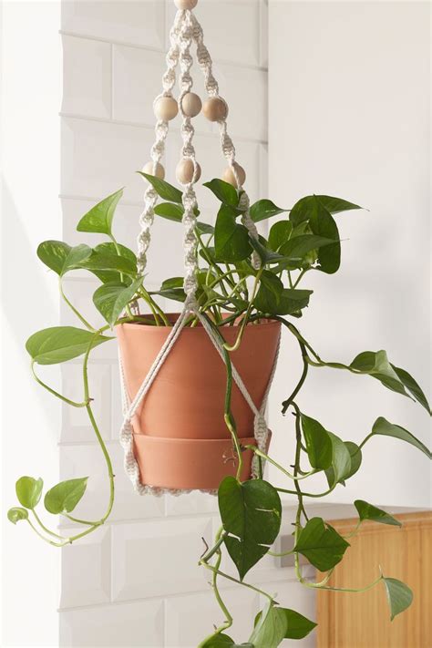Neuste anzeigen älteste anzeigen preis aufsteigend preis absteigend relevanz. ANVÄNDBAR Blumenampel für Topf - hängend, naturfarben ...