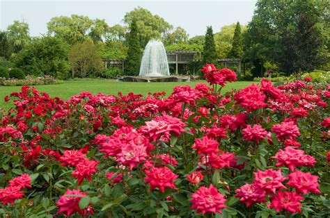 Rose Garden Fountain View Chicago Botanic Garden Secret Enchanted
