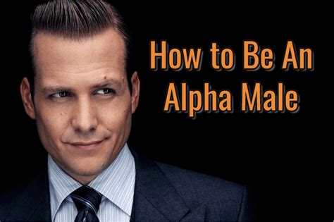 How To Be An Alpha Male Best Traits And How To Learn Them All Day