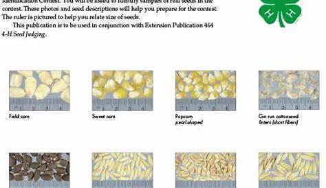 Seed Identification | Mississippi State University Extension Service
