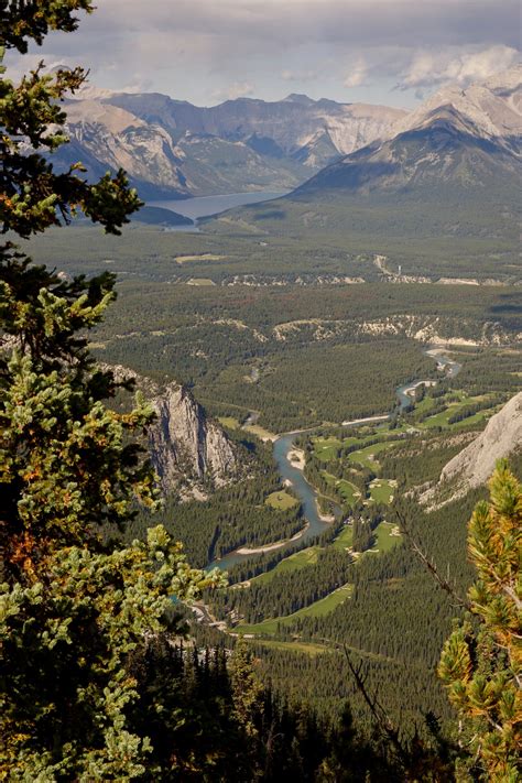 Bow River Valley From Sulphur Mountain Photo