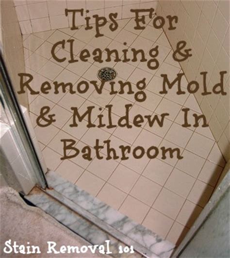 Following a few simple steps can help you on your way to a clean and. Cleaning And Removing Mold & Mildew In Bathroom