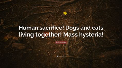 Bill Murray Quote Human Sacrifice Dogs And Cats Living Together