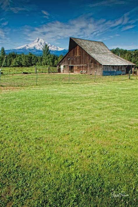 Oregon Farms Bing Images Old Barns Country Barns