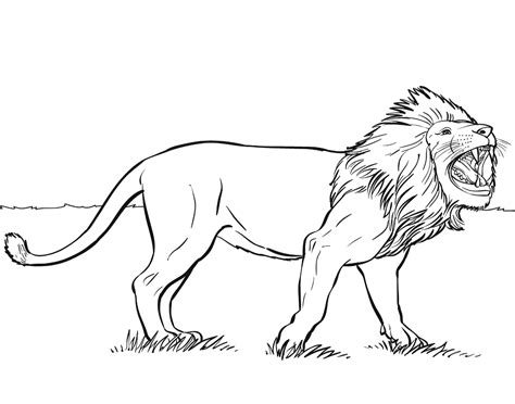 Lion Coloring Page Printable Coloring Sheet Anbu Coloring Page