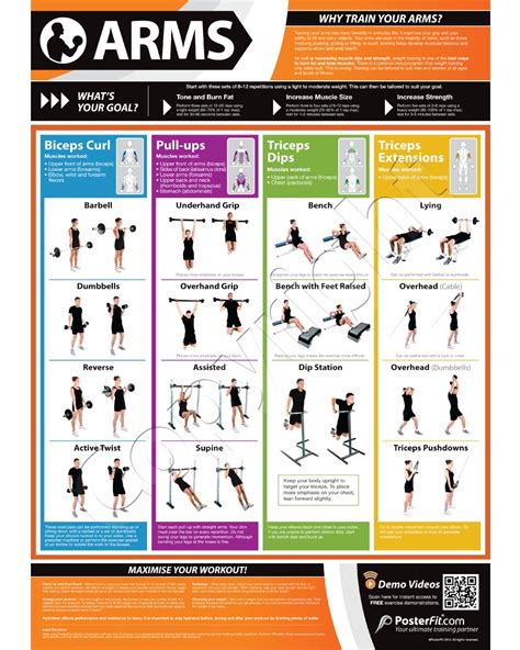 Arms Exercise Wall Chart Poster