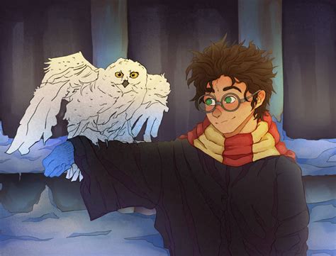 Harry Potter With Hedwig During Wintertime By Nellgrey14 On Deviantart