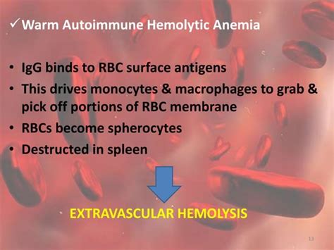 Autoimmune Hemolytic Anemia Aiha