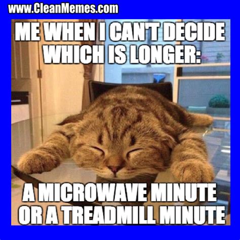 Funny Cat Memes Clean New Hot Funniest Cat Me Vrogue Co
