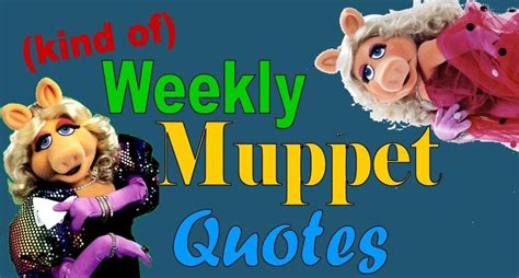 Best Muppet Quotes Quotesgram