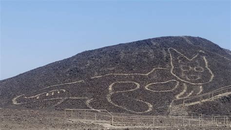 Archaeologists in peru have discovered more than 25 large drawings carved into the earth near the nazca lines in a southern coastal desert. Archaeologists Discover Ancient Cat Drawing on Peru Hillside - Nerdist