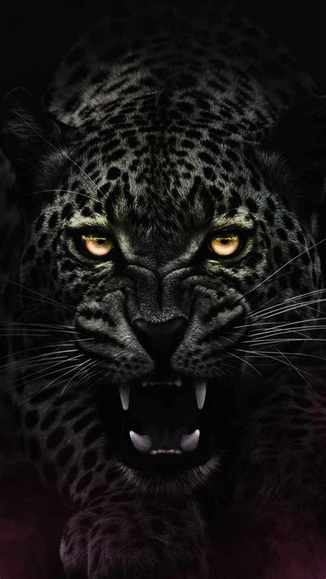 Angry Jaguar Iphone Wallpaper Iphone Wallpapers Iphone Wallpapers