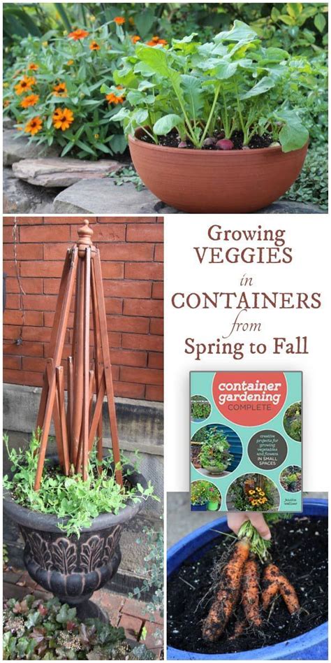 How To Grow Vegetables In Containers From Spring To Fall Fall Garden