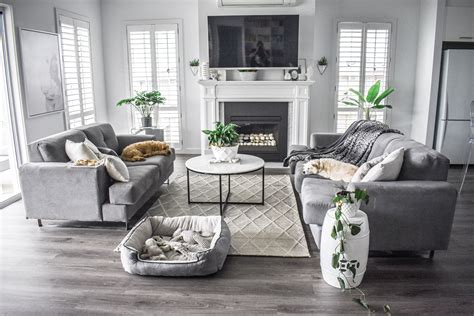 Grey Couch Living Room Living Room Inspo Interior Styling Kmart