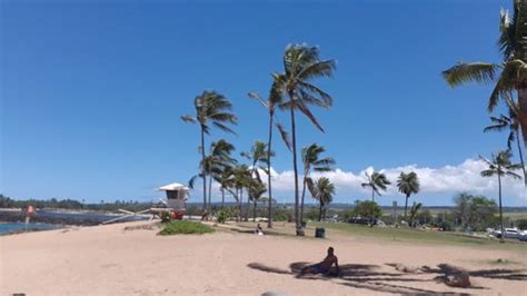 Haleiwa Alii Beach Park Updated 2021 All You Need To Know Before You