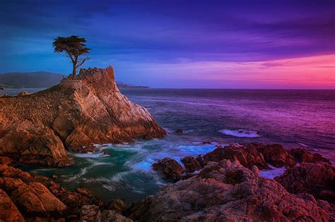 Hd Wallpaper Rocky Beach Landscape During Sunset Lone Cypress Lone