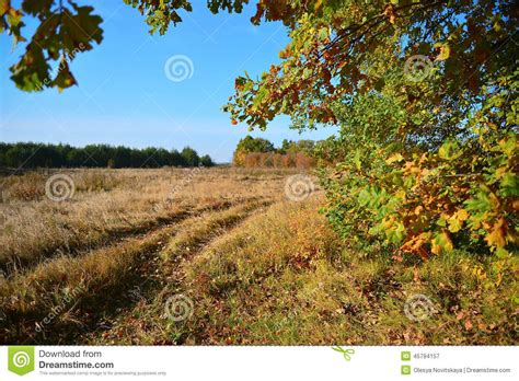 View Autumn Meadow And A Dirt Road Through The Stock Image Image Of