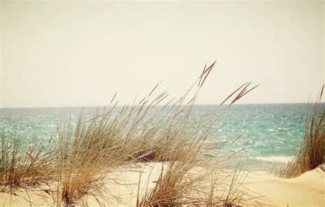 Wallpaper Sand Sea Beach Grass Dawn Dunes Images For Desktop