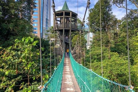 Conveniently located beside the menara kl tower, this forest reserve covers an area of approximately 11, 0000 sq metres and was founded in 1906. KL Forest Eco Park: Exploring the Jungle in the City ...