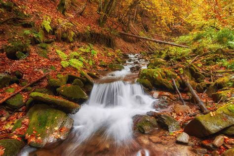 Autumn Stream Forest Gold Autumn European Landscape Wallpaper Landscape