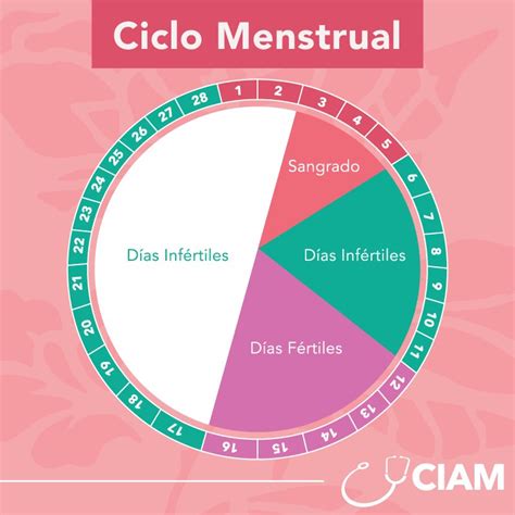 CIAM on Twitter: "Descubre el funcionamiento del ciclo menstrual y sus