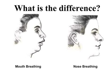 Mouth Breathing Vs Nose Breathing The Renegade Esthetician Snoring