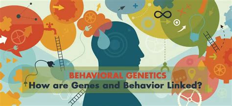 Behavioral Genetics How Are Genes And Behavior Linked