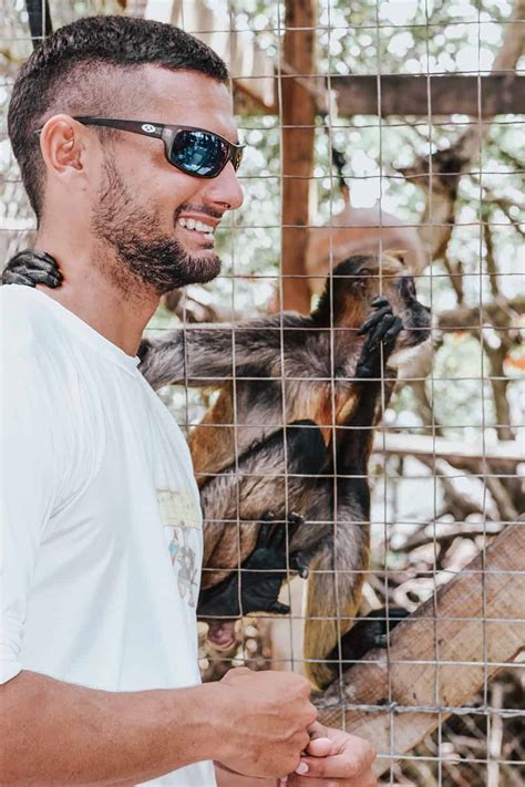 Discover Roatan! Hold a Sloth on Your Caribbean Cruise - See Mama Travel