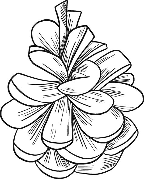 Pine Cone Coloring Page Colouringpages