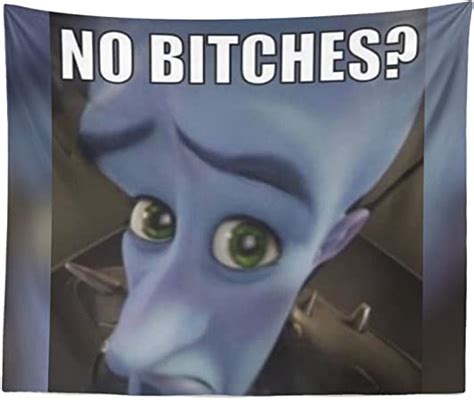 Aertemisi Megamind No Bitches Rolig Meme Gobel Ng Och V Ggh Ngd Cm X Cm Amazon Se Hem