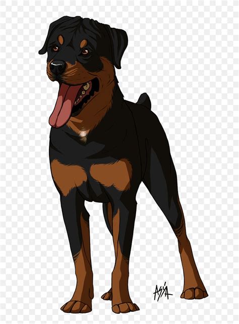Dog Breed Rottweiler Snout Animated Cartoon Png 706x1111px Dog Breed