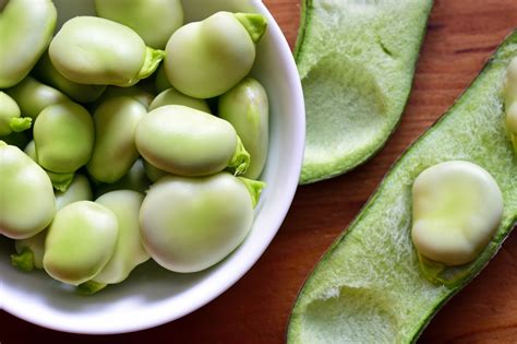 Is Fava The New Soy Wet Fraction ‘optimises Fava Beans For A Climate
