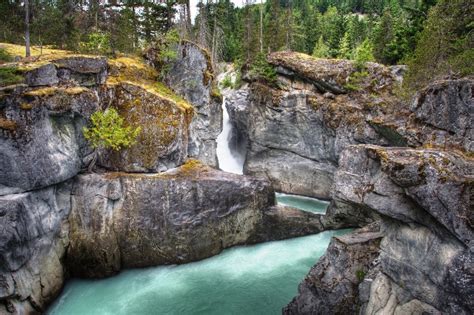 Top 7 Whistler Hikes Crystal Lodge