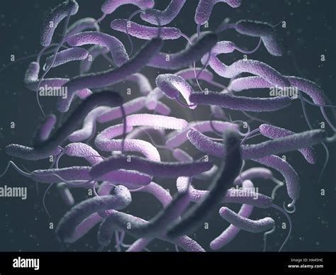 Vibrio Cholerae Gram Negative Bacteria 3d Illustration Of Bacteria