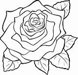 Rose Single Cliparts Clipart Drawing Line Clip Svg Coloring Attribution Forget Link Don sketch template